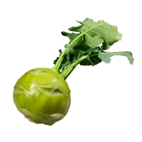 Kohlrabi, klein - mit Schönheitsfehlern Kohlrabi, klein - mit Schönheitsfehlern