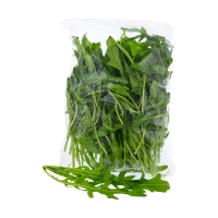 Rucola kaufen