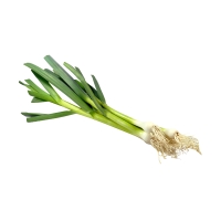 Grüner Knoblauch kaufen