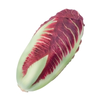 Radicchio Radicchio