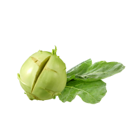 Kohlrabi - mit Schönheitsfehlern Kohlrabi - mit Schönheitsfehlern