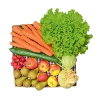 Große Gemüse- & Obst-Kiste