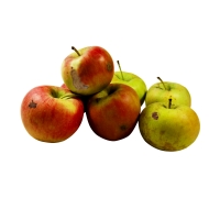 Äpfel - mit Schönheitsfehlern Äpfel - mit Schönheitsfehlern