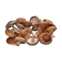 Shiitake-Pilze kaufen