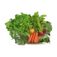 Salat-Vitamin-Paket