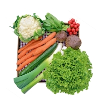 Kleine Gemüse-Kiste