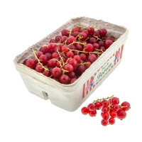 Rote Johannisbeeren kaufen