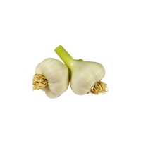 Knoblauch, 2 Stück kaufen